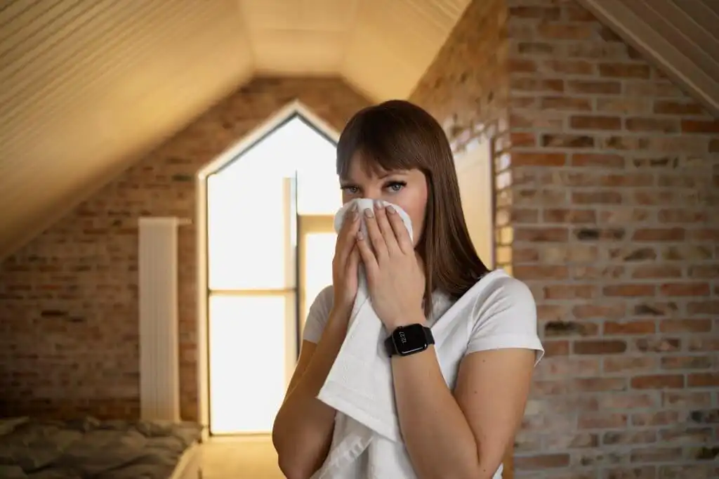 Can Attic Insulation Make You Sick