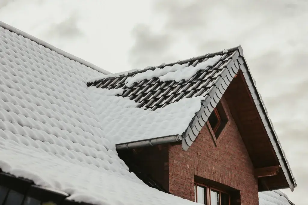 Roof Snow