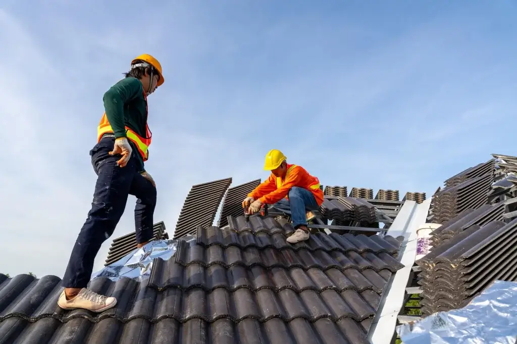 Roof Maintenance