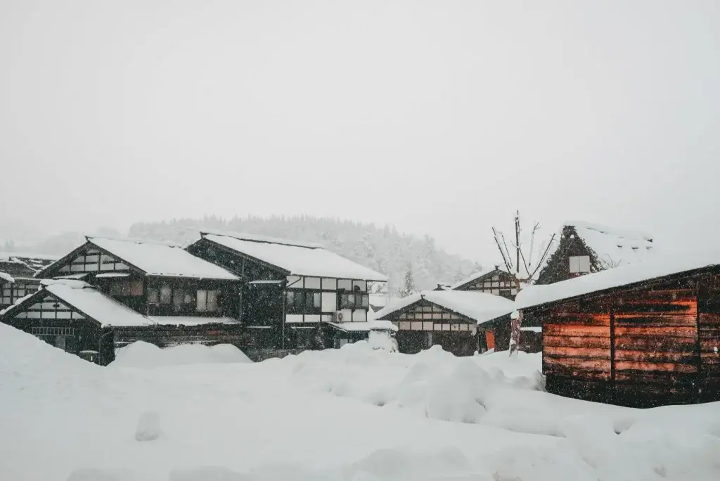 Roof Snow