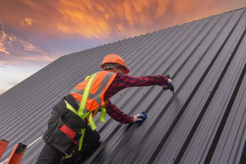 Roof Maintenance