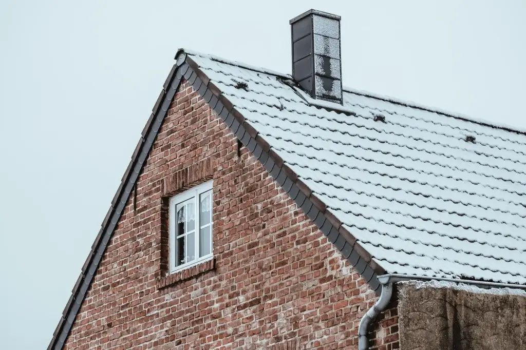 Roof Snow